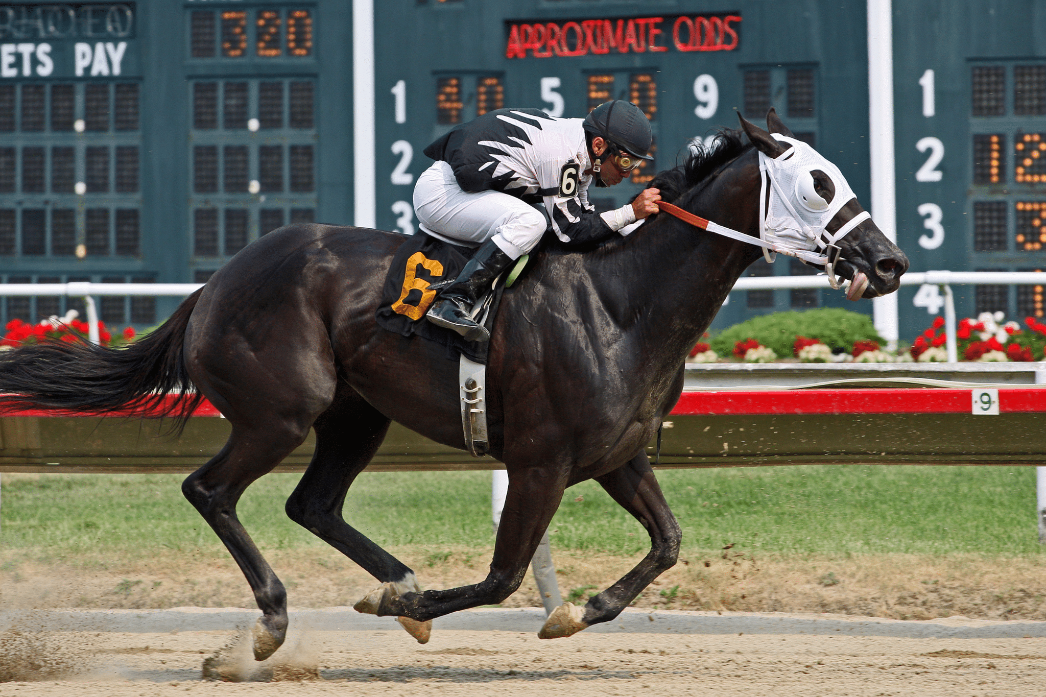 futures bets on kentucky derby